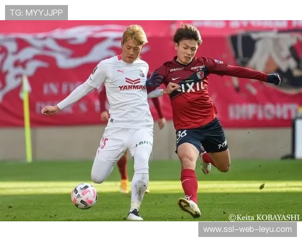 勒阿弗尔濑古步梦肋骨受伤,将缺席一段时间比赛 勒阿弗尔濑古步梦肋骨受伤,将缺席一段时间比赛